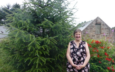A Sense o Place | Jackie Ross