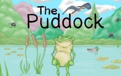 The Puddock